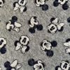 Minnie & Mickey