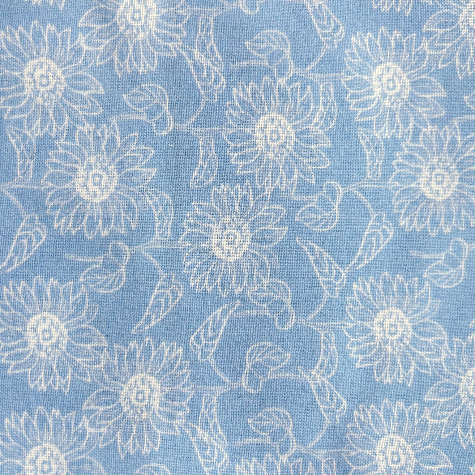 Blue Meadow