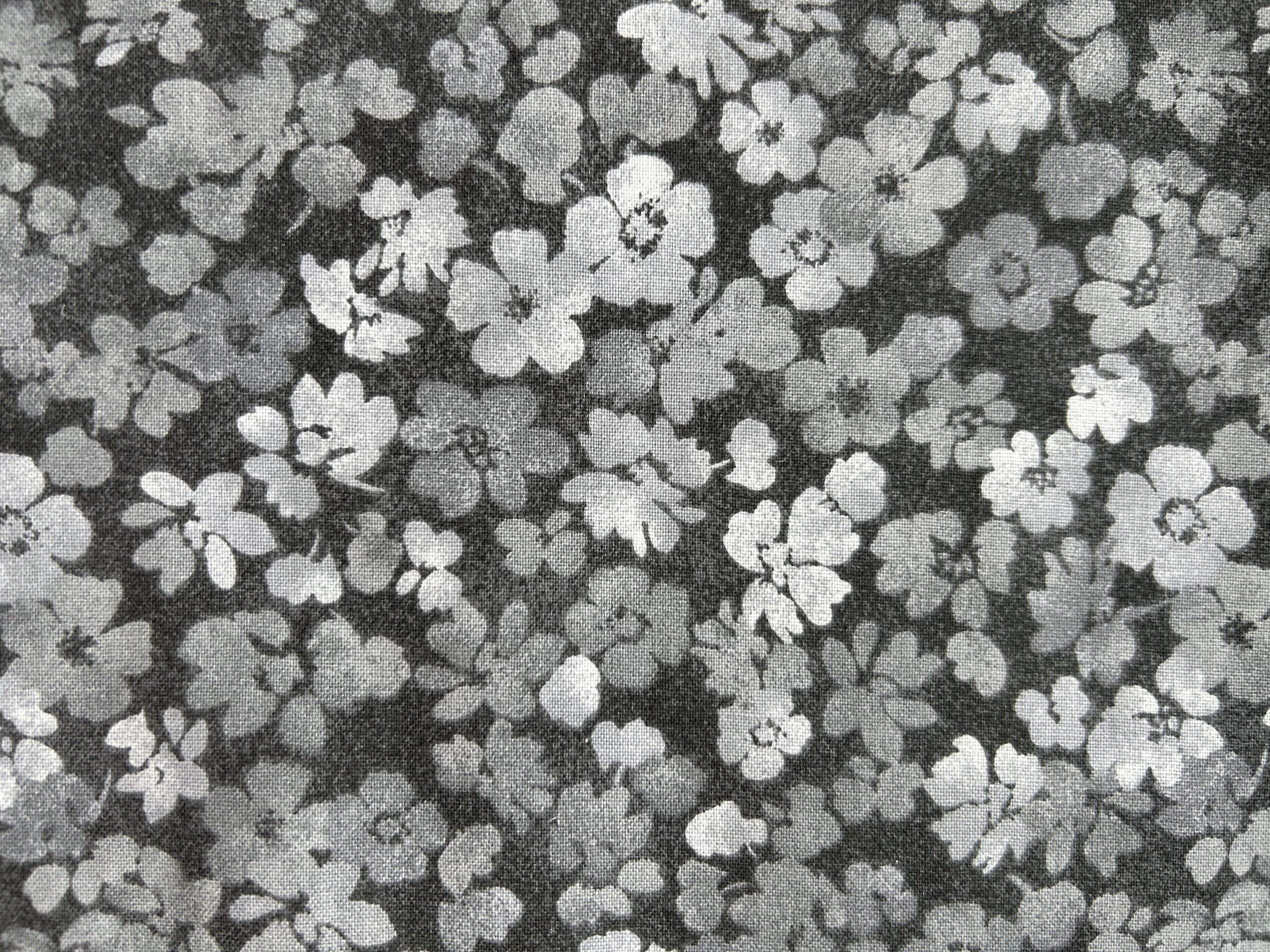 Shadow Bloom